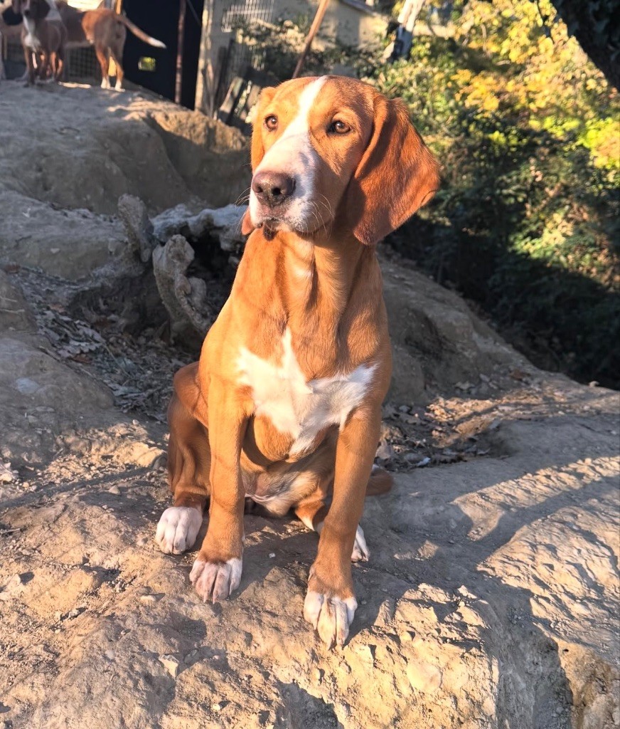 Alma du roc de la berre